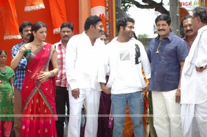 Brindavanam Sets