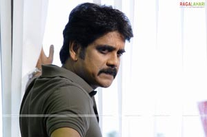 Nagarjuna, Prakash Raj, Poonam Kaur