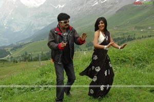 Rajasekhar, Kamalinee Mukherji