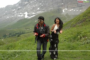 Rajasekhar, Kamalinee Mukherji