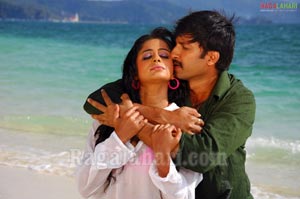 Gopichand, Priyamani