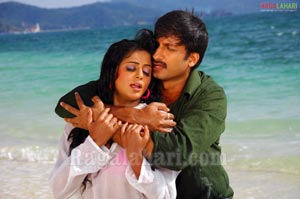 Gopichand, Priyamani