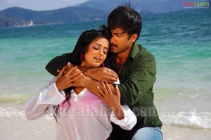 Gopichand, Priyamani