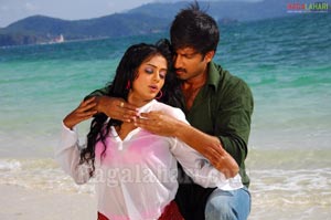 Gopichand, Priyamani