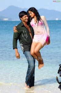 Gopichand, Priyamani