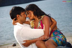 Gopichand, Priyamani