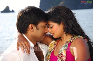 Gopichand, Priyamani