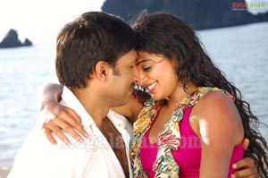 Gopichand, Priyamani