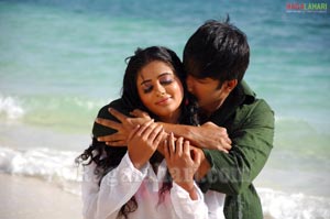 Gopichand, Priyamani