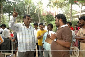 Chapter 6 Working Stills