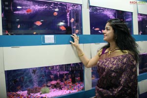 The One Stop Aquarium Mart - Ocean World Launched in Hyderabad