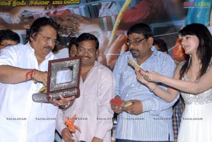 Telugammayyi Audio Release