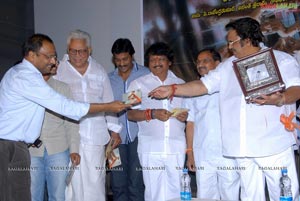 Telugammayyi Audio Release