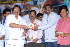 Telugammayyi Audio Release