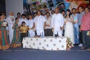 Telugammayyi Audio Release