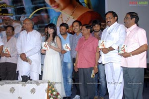 Telugammayyi Audio Release