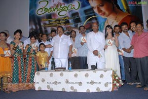 Telugammayyi Audio Release