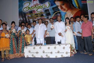 Telugammayyi Audio Release