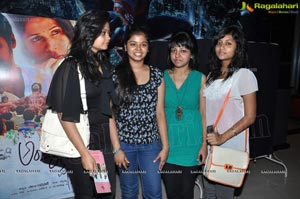 Bollywood Cocktail Special Screening by Bisket Srikanth at Cinemax Hyderabad