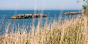 Erie Beach, USA - Photograhy by Bhanu