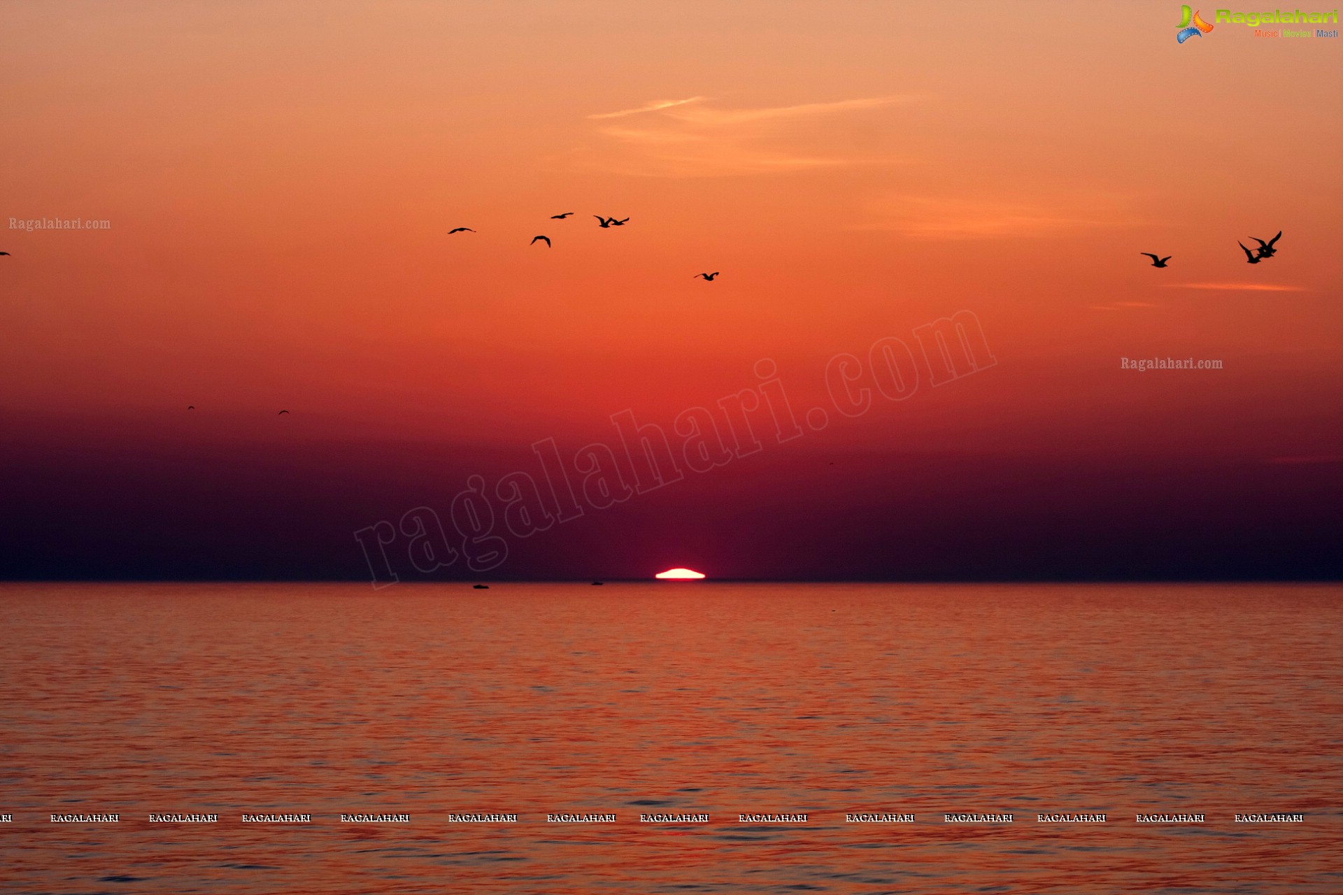 Bhanu Photography - Erie Beach