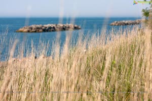 Erie Beach, USA - Photograhy by Bhanu