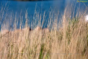 Erie Beach, USA - Photograhy by Bhanu