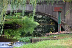 Hershey Park Pennsylvania Photos