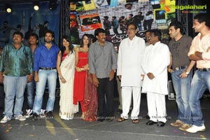 Photos of Hormones Audio Release