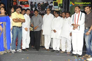 Photos of Hormones Audio Release