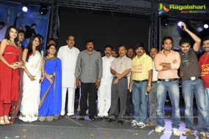 Photos of Hormones Audio Release