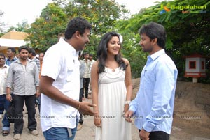 Nani Amala Paul Jandapai Kairaju Muhurat