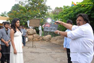 Nani Amala Paul Jandapai Kairaju Muhurat