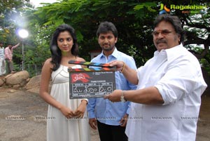 Nani Amala Paul Jandapai Kairaju Muhurat