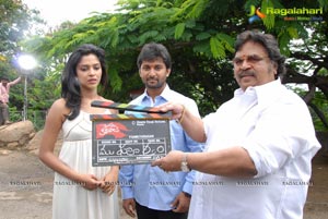 Nani Amala Paul Jandapai Kairaju Muhurat