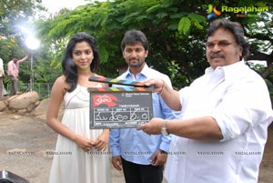 Nani Amala Paul Jandapai Kairaju Muhurat