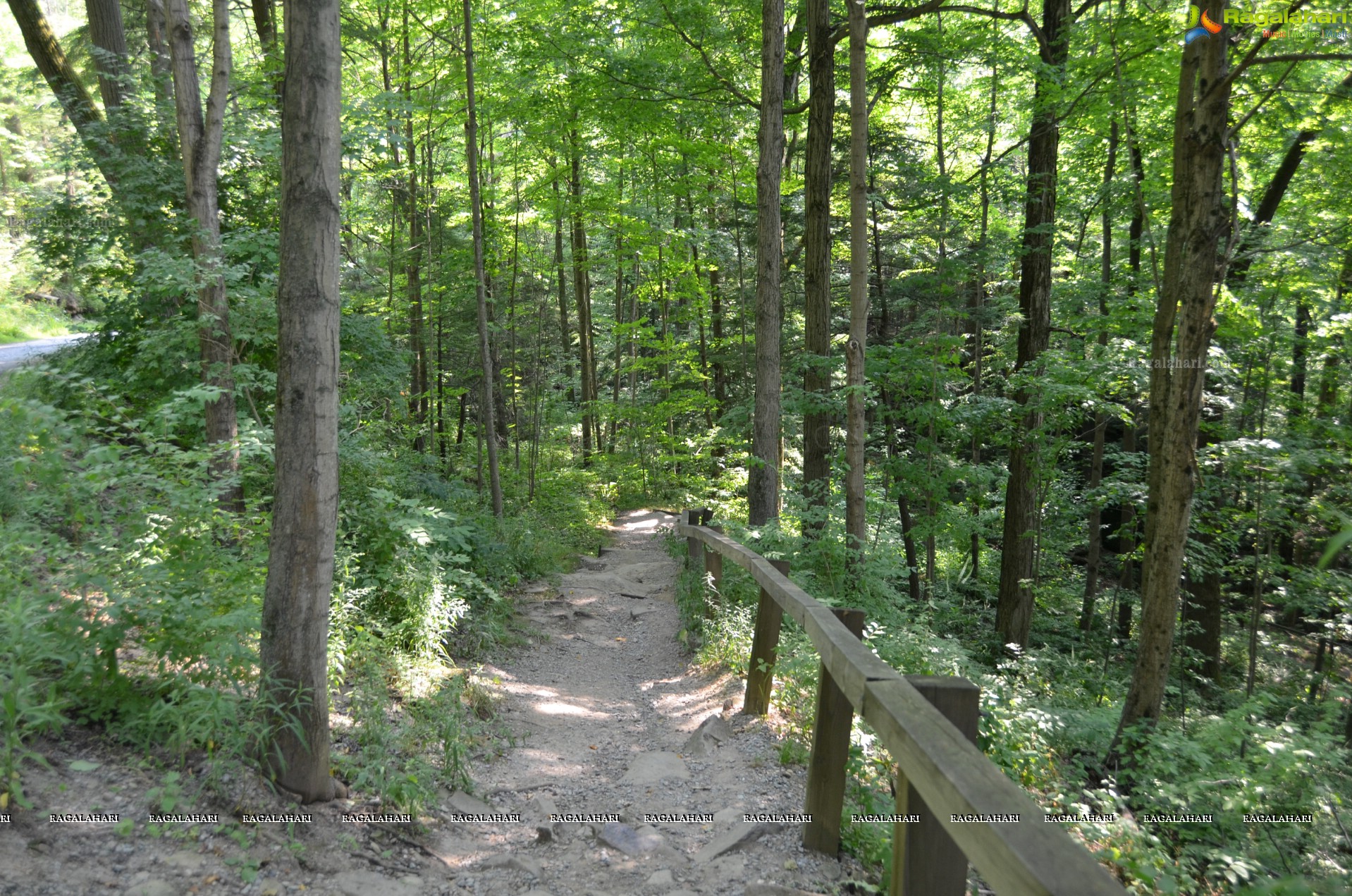 Sri Atluri Photography - McConnells Mill State Park, Pennsylvania, USA