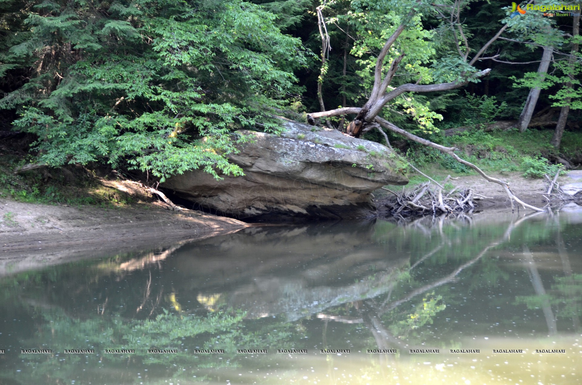 Sri Atluri Photography - McConnells Mill State Park, Pennsylvania, USA