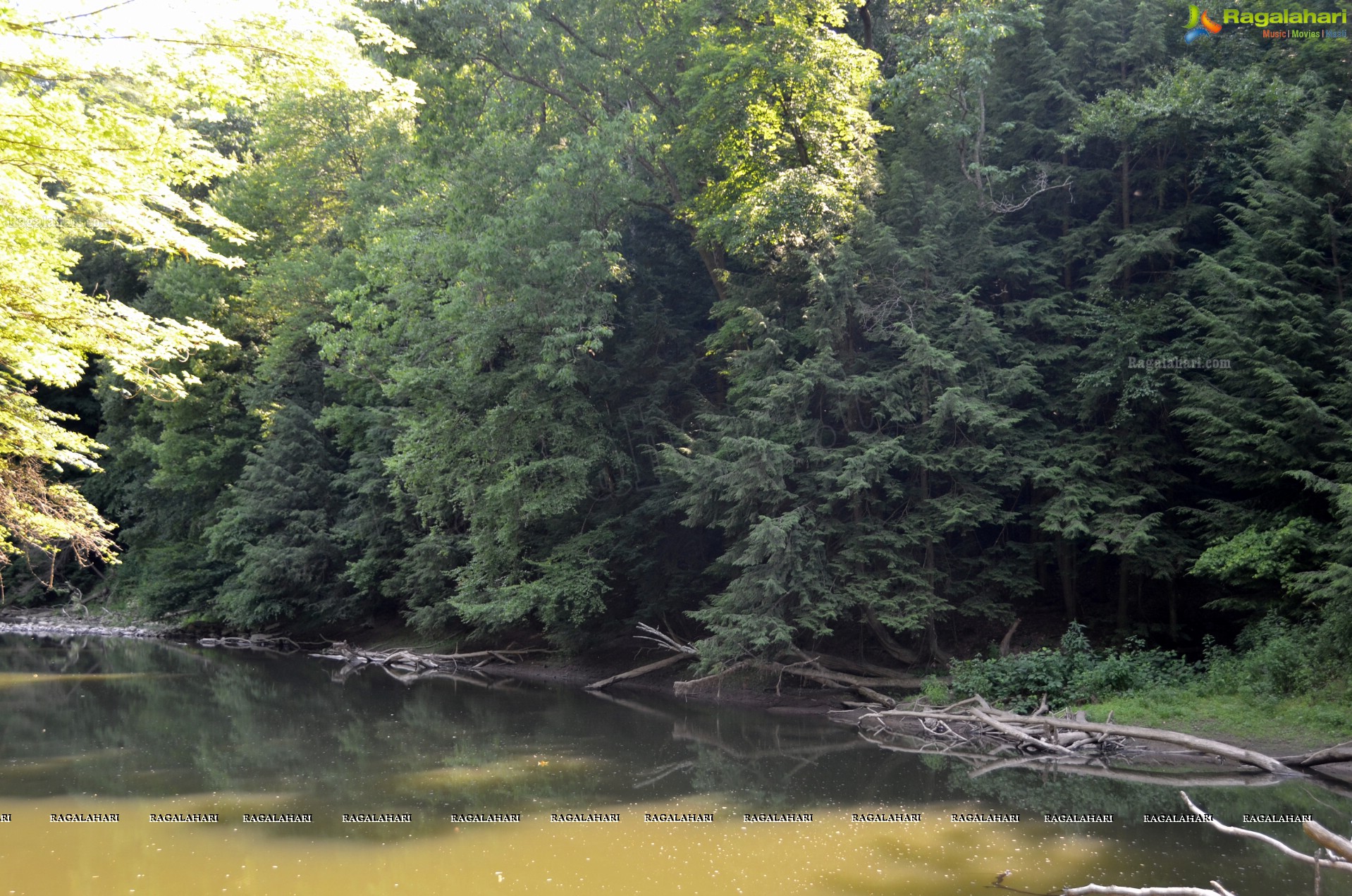 Sri Atluri Photography - McConnells Mill State Park, Pennsylvania, USA