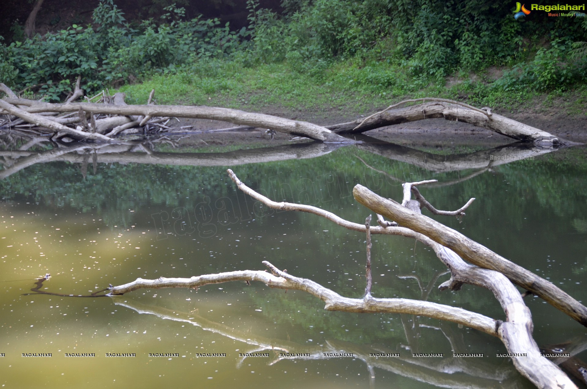 Sri Atluri Photography - McConnells Mill State Park, Pennsylvania, USA