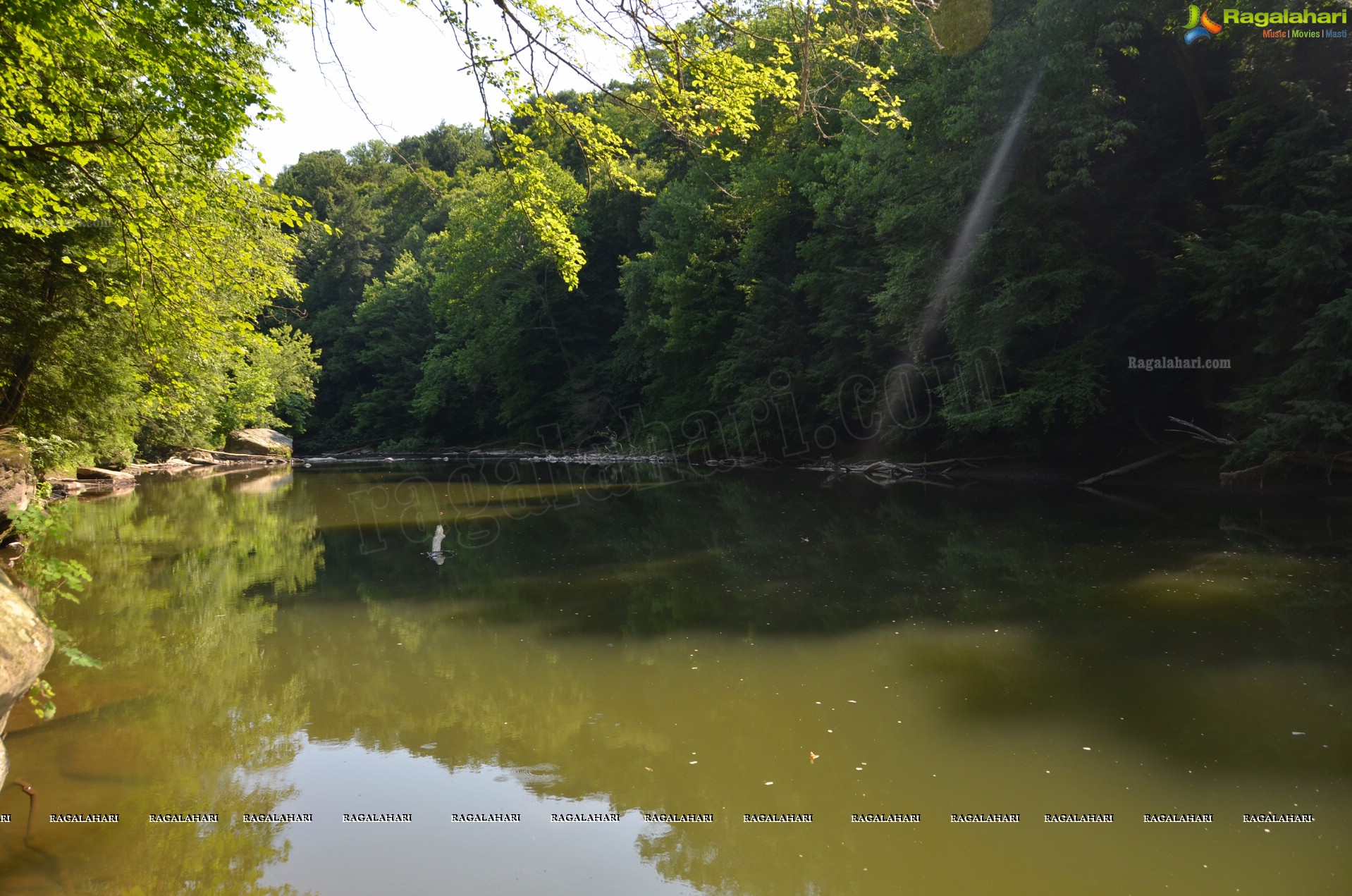 Sri Atluri Photography - McConnells Mill State Park, Pennsylvania, USA