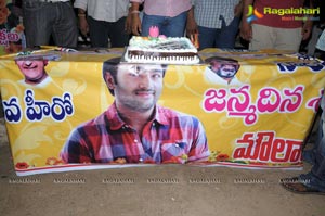 Vijayawada Fans celebrates Nara Rohith 2012 Birthday