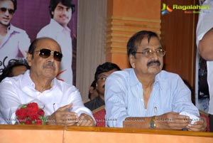 Oka Romantic Crime Katha 25 Days Function Photos