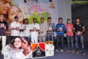 Prema Nilayam Audio Release Function Photos