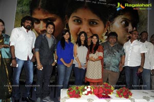 Sathi Leelavathi Audio Release Function