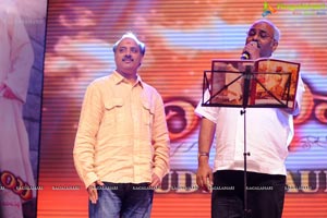 Nagarjuna Shirdi Sai Audio Release Photos