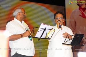 Nagarjuna Shirdi Sai Audio Release Photos