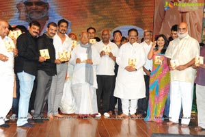 Nagarjuna Shirdi Sai Audio Release Photos