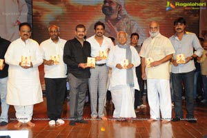 Nagarjuna Shirdi Sai Audio Release Photos