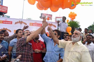 Nagarjuna's Shirdi Sai Hoarding Launch